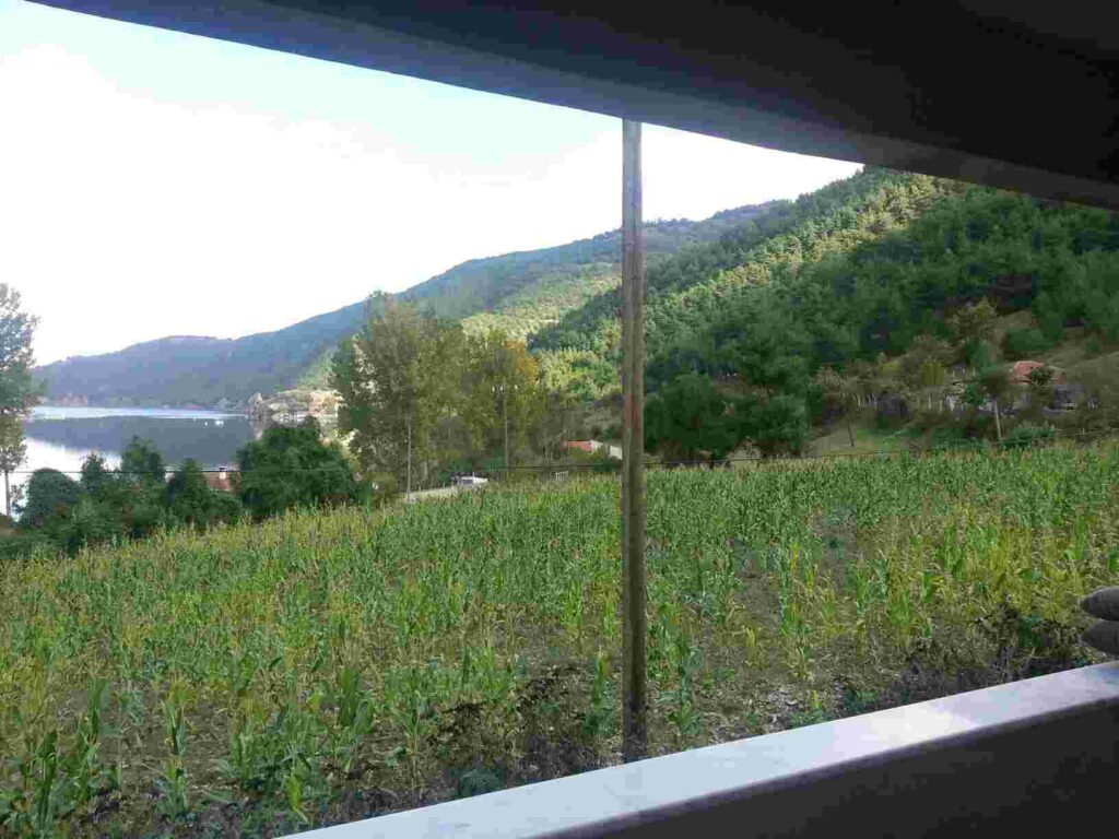 Samsun-Bafra-Düzköy (6)