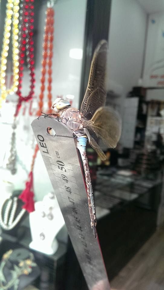 Yusufcuk